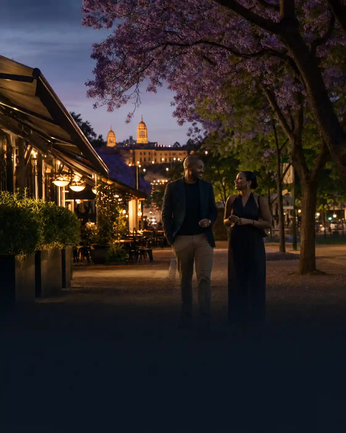 Pretoria evening street beneath flowering jacaranda trees
